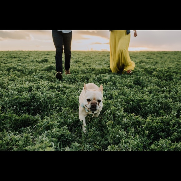 Just a girl in Idaho with her dog. - Picture 1 of 1